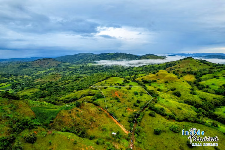 Finca de 7 Ha en Las Tablas Los Santos Panamá