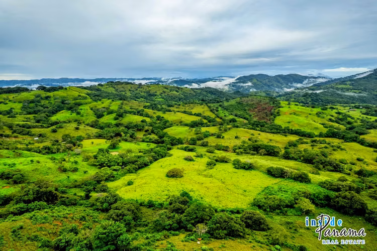 Finca de 7 Ha en Las Tablas Los Santos Panamá