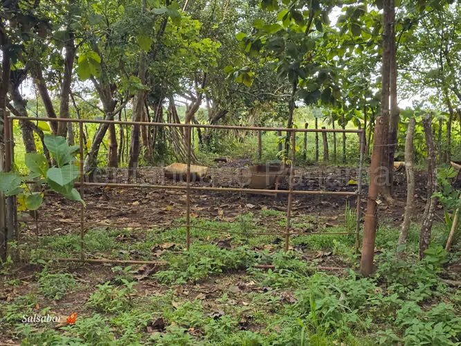 Land for sale in Santiago, ELL26-1724