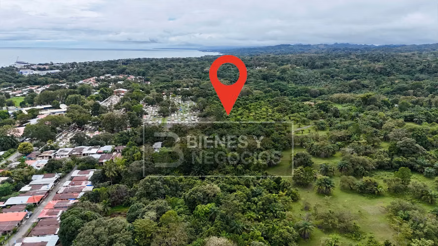 Terreno en Chiriqui, Puerto Armuelles, 22.8 hectáreas - Imagen 3