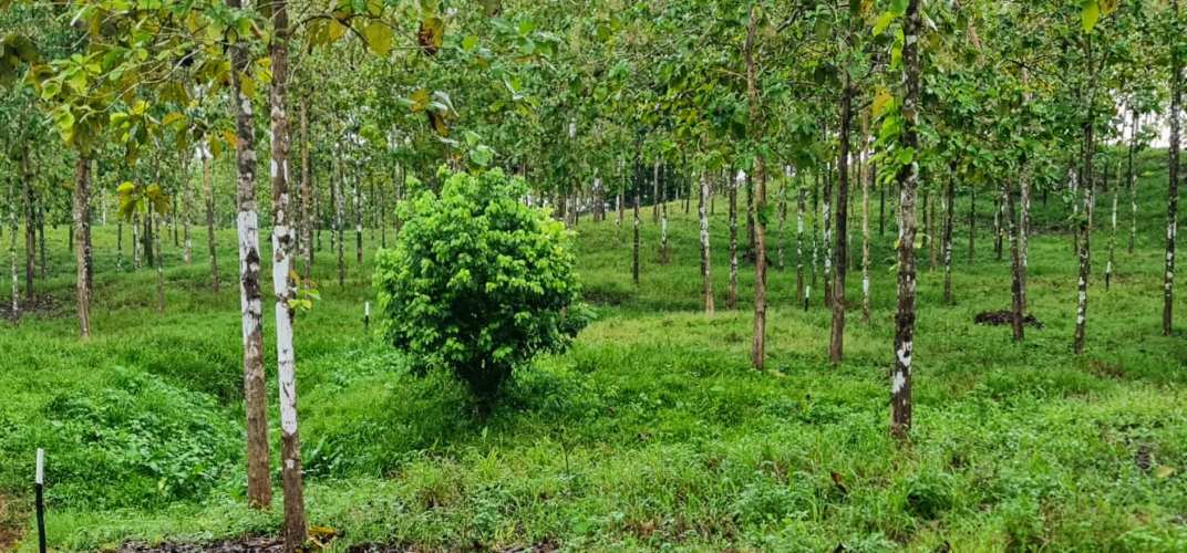 ESPECTACULAR Finca $4.99M2. Financiada Directamente a 25 meses