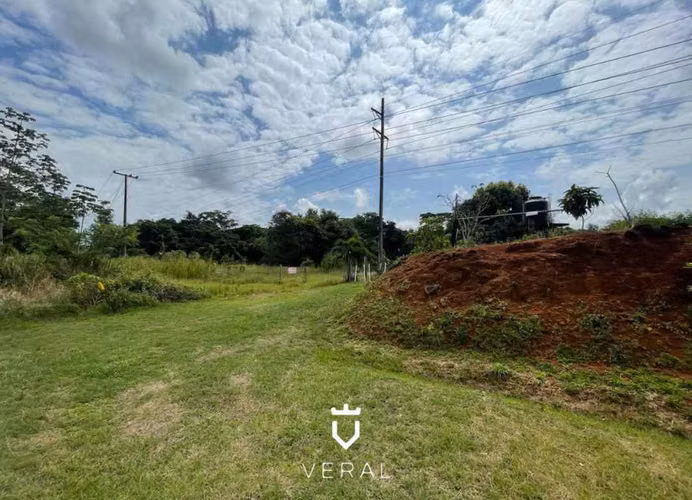 Se Vende Lote/Terreno en La Chorrera - 6,750m2 (MFV)