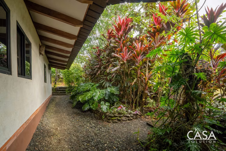 Oferta! Hogar Ecológico y Confortable en Torio, Veraguas - Imagen 3