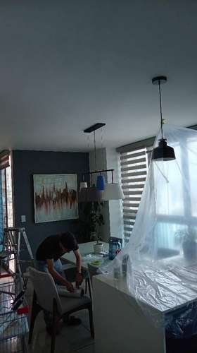 Pintor Profesional - Imagen 5