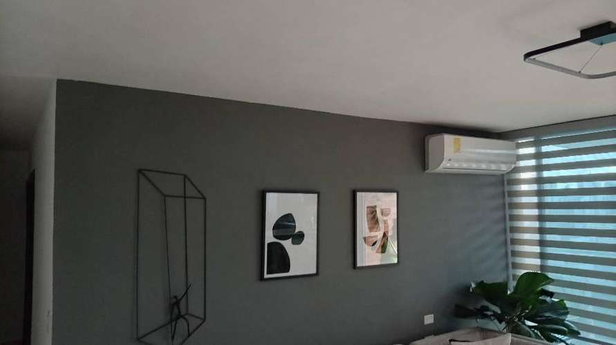 Pintor Profesional - Imagen 2