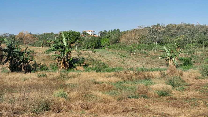 Terrenos en venta en Coloncito Santiago de Veraguas