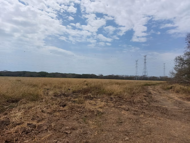 Venta de Finca en El Cortezo de Natá, 251 hectáreas