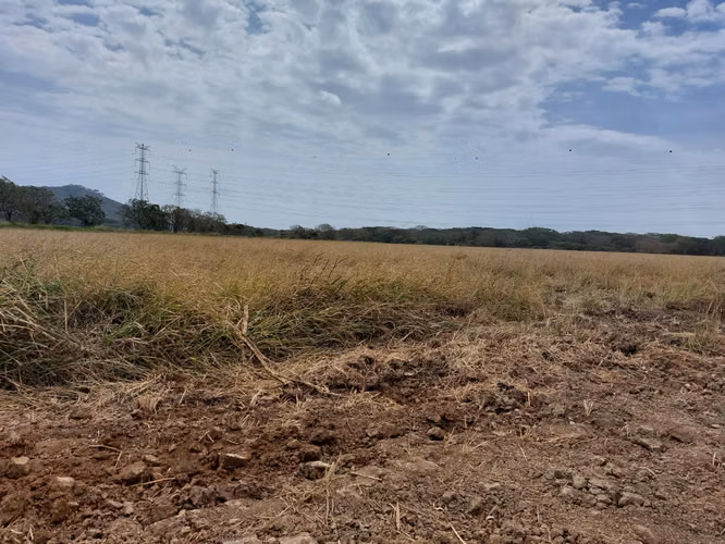 Venta de Finca en El Cortezo de Natá, 251 hectáreas