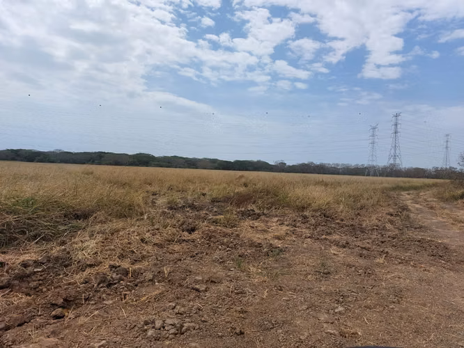 Venta de Finca en El Cortezo de Natá, 251 hectáreas