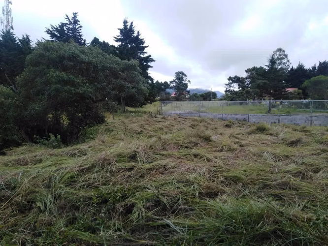 Se venden terreno en Volcán a 2 minutos del centro . 1,500mts. 75 mil - Imagen 4