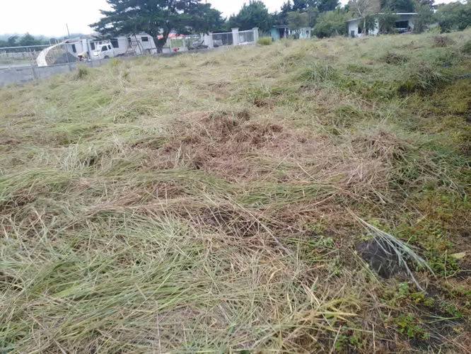 Se venden terreno en Volcán a 2 minutos del centro . 1,500mts. 75 mil - Imagen 8