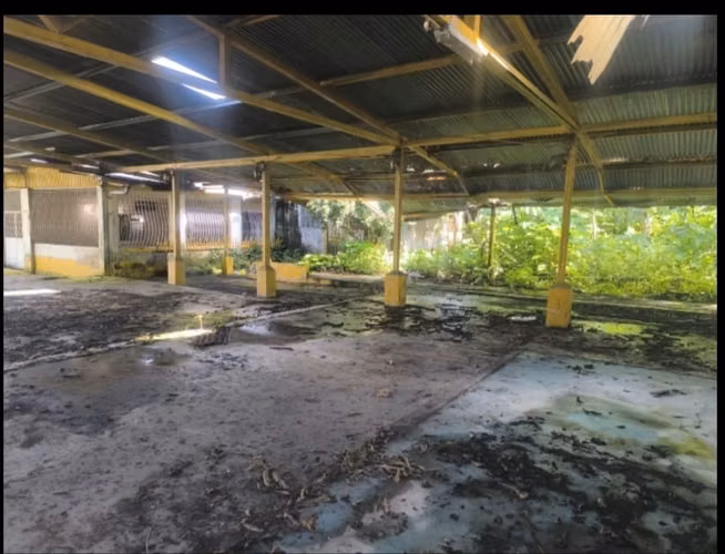 VENTA TERRENO CHIRIQUI DAVID PASO CANOAS PANAMA ID 7086