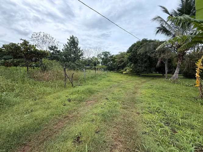 Venta de finca en Balita, Tinajas, Chiriquí