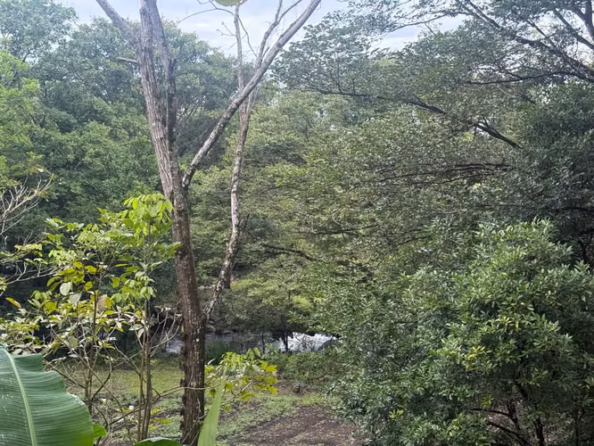 Venta de finca en Balita, Tinajas, Chiriquí