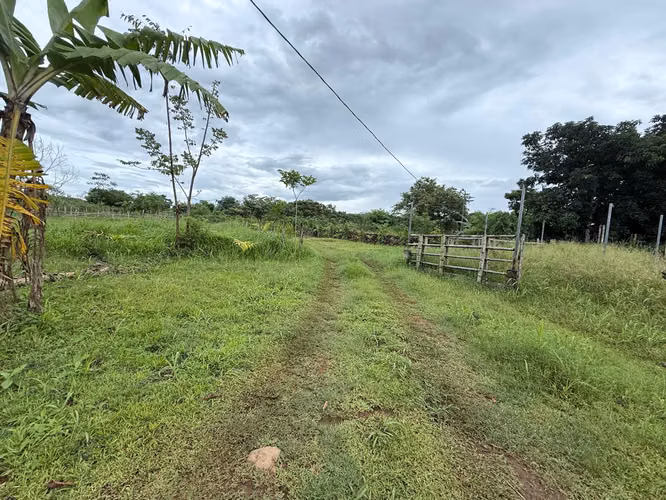 Venta de finca en Balita, Tinajas, Chiriquí