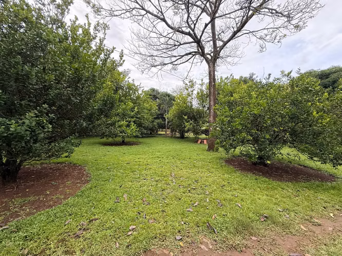 Venta de finca en Balita, Tinajas, Chiriquí