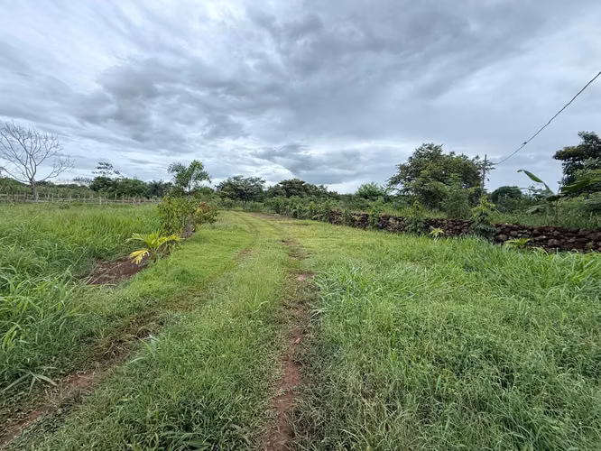 Venta de finca en Balita, Tinajas, Chiriquí