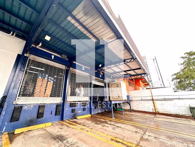 Se alquila Galera en Parque Lefevre de 1,500m2 - Imagen 4