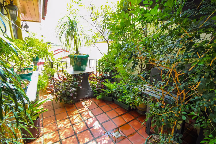 VENTA PENTHOUSE EN CASCO ANTIGUO PH CUATRO CASAS (4)