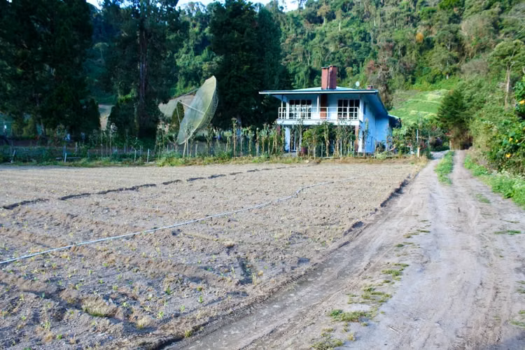 Lote bajo Cerro Punta, Volcán
