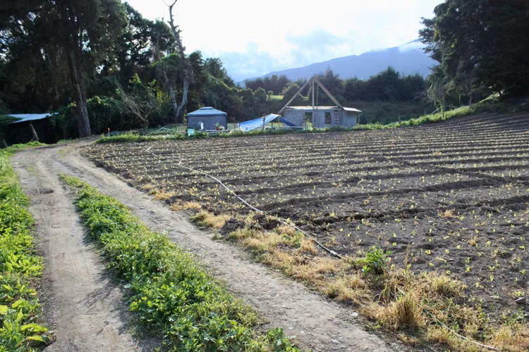 Lote bajo Cerro Punta, Volcán
