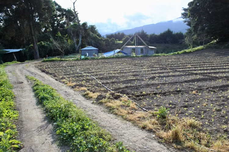 Lote bajo Cerro Punta, Volcán