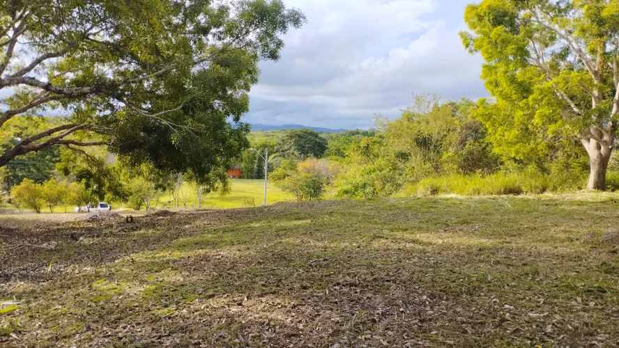 Venta de Terreno en Los Lirios, Las Uvas, San Carlos, 2,000m²