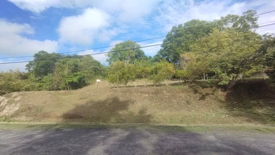 Venta de Terreno en Los Lirios, Las Uvas, San Carlos, 2,000m²