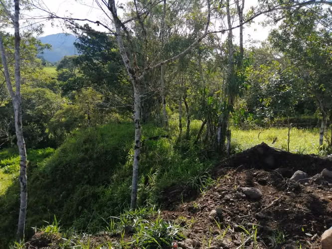 Terreno/Hectáreas planas en filas de Caisan Chiriquí