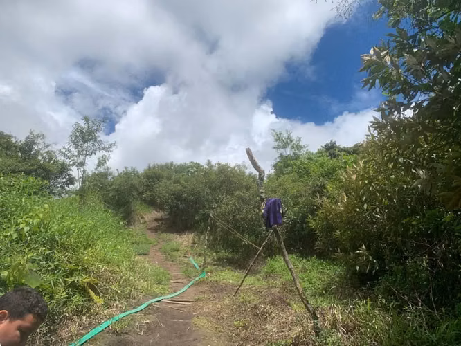 Terreno/Hectáreas planas en filas de Caisan Chiriquí