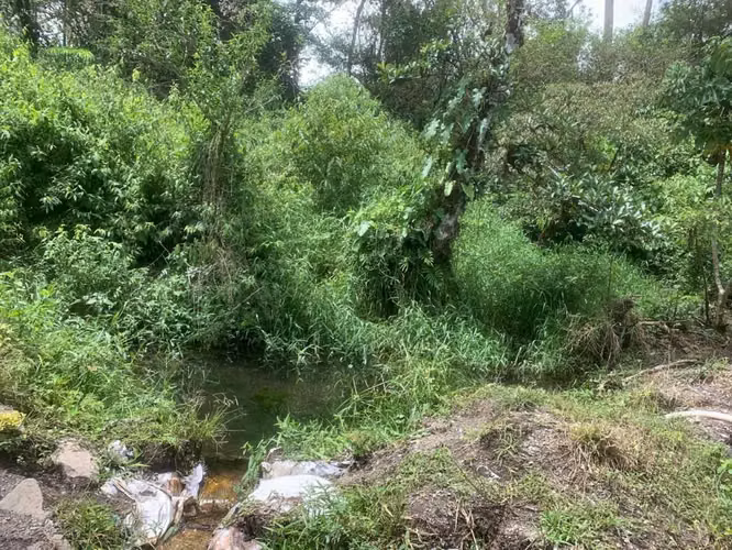 Terreno/Hectáreas planas en filas de Caisan Chiriquí