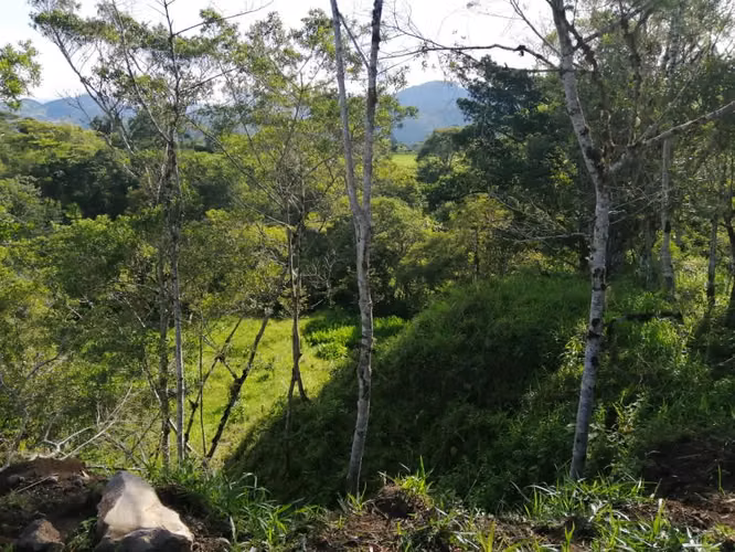 Terreno/Hectáreas planas en filas de Caisan Chiriquí