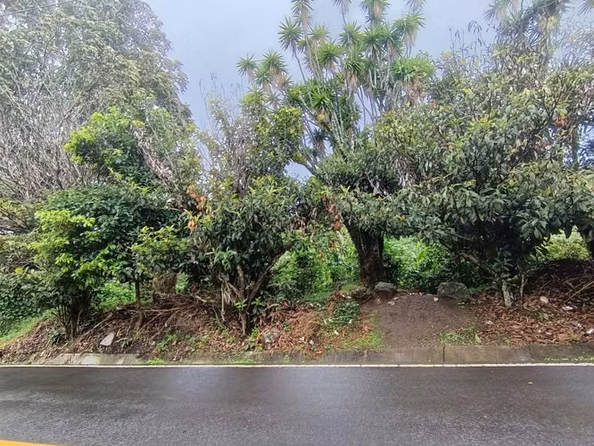 Se vende lote en El Salto, Boquete, Chiriquí - Imagen 2
