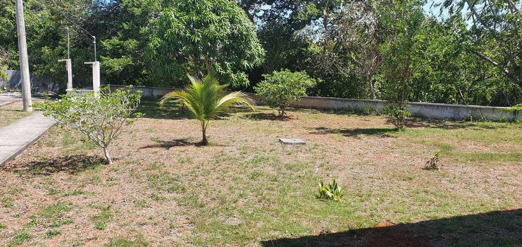 Alquiler de Casa en San Pablo Chiriqui - Imagen 17
