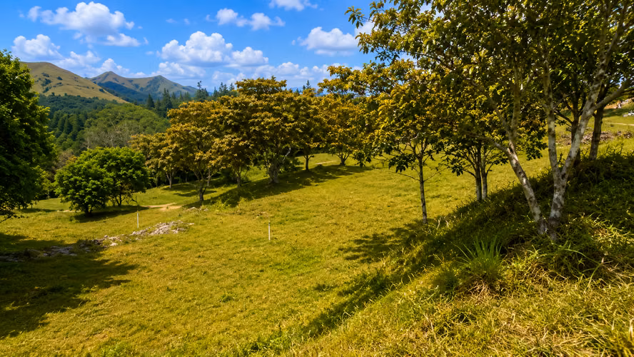 Venta de Terreno en El Valle de Antón, 5,300 m²
