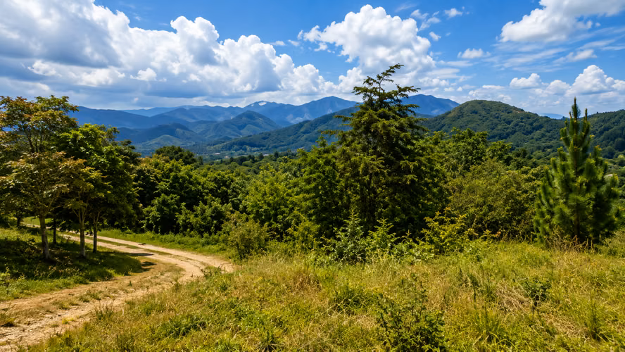 Venta de Terreno en El Valle de Antón, 5,300 m²