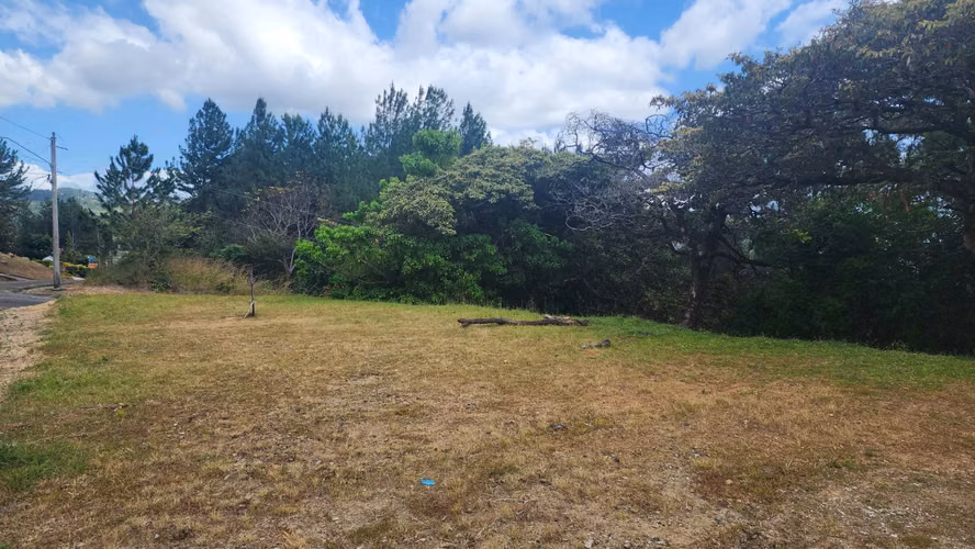1408m2, LOTE DE MONTAÑA - ALTOS DEL MARÍA - SORÁ, PANAMÁ OESTE - Imagen 3