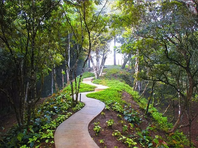 1408m2, LOTE DE MONTAÑA - ALTOS DEL MARÍA - SORÁ, PANAMÁ OESTE - Imagen 9