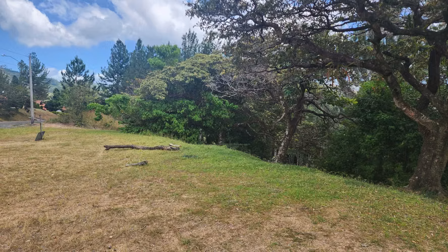 1408m2, LOTE DE MONTAÑA - ALTOS DEL MARÍA - SORÁ, PANAMÁ OESTE - Imagen 6