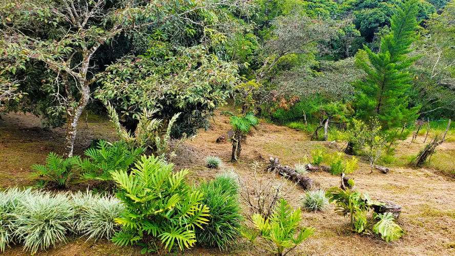 HERMOSA PROPIEDAD CON LA MEJOR VISTA EN EL VALLE