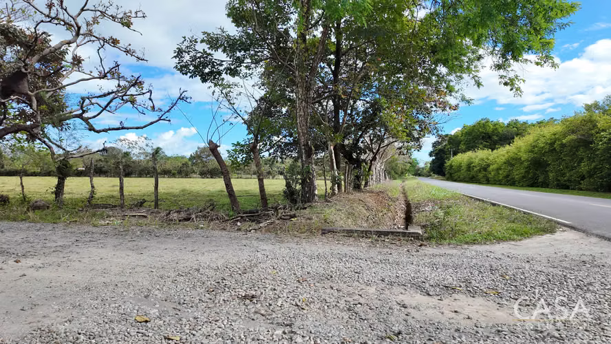 Gran Oferta! Terreno Plano De Primera En Venta En Cochea Abajo, David, Chiriquí - Imagen 4