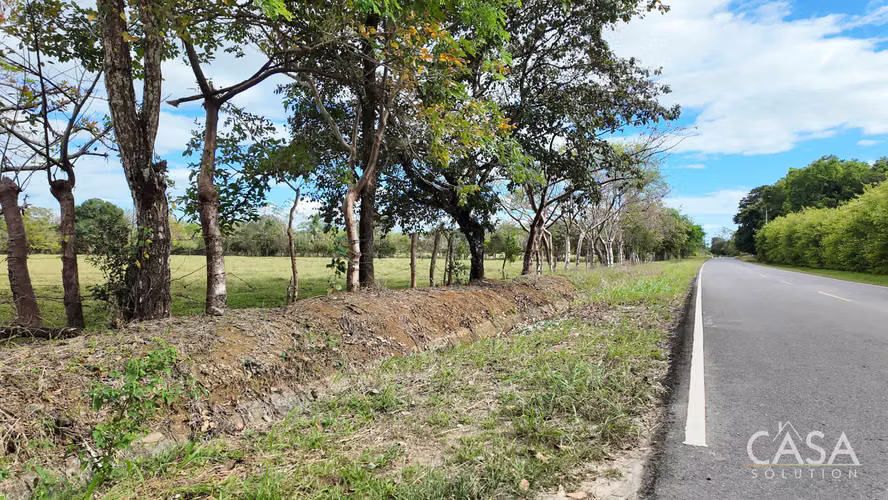 Gran Oferta! Terreno Plano De Primera En Venta En Cochea Abajo, David, Chiriquí - Imagen 3