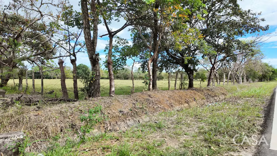 Gran Oferta! Terreno Plano De Primera En Venta En Cochea Abajo, David, Chiriquí - Imagen 8