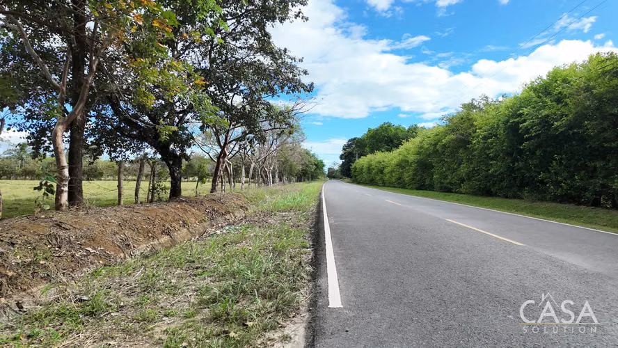Gran Oferta! Terreno Plano De Primera En Venta En Cochea Abajo, David, Chiriquí - Imagen 20