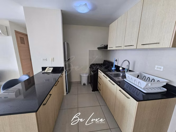 VENTA APARTAMENTO AMOBLADO PH TORRES DE CASTILLA, VÍA ESPAÑA (9)