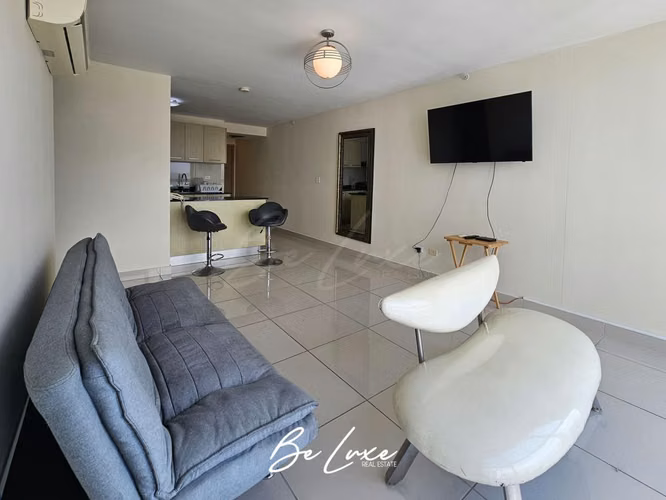 VENTA APARTAMENTO AMOBLADO PH TORRES DE CASTILLA, VÍA ESPAÑA (9)