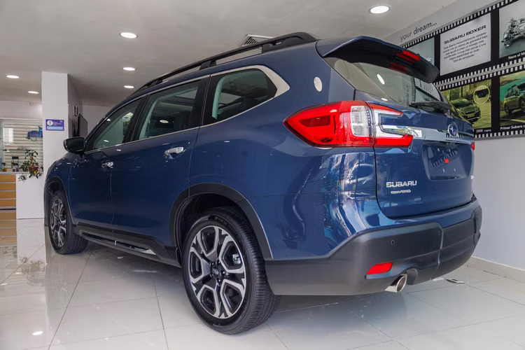 Evoltis Touring 2025