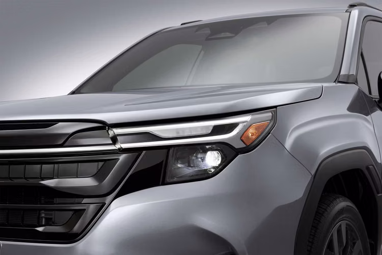 Forester Limited 2026