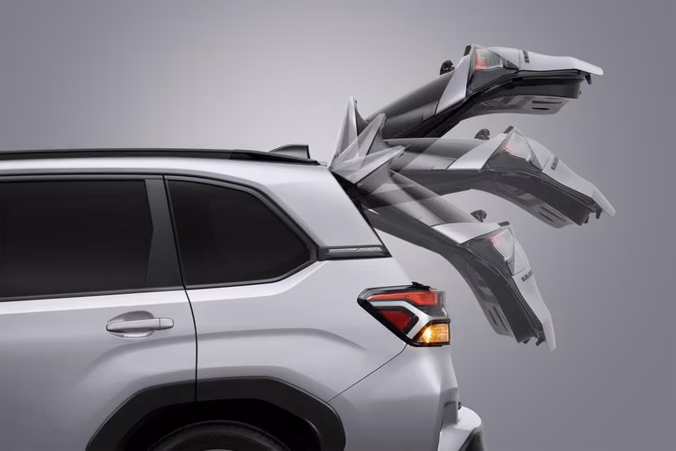 Forester Limited 2026