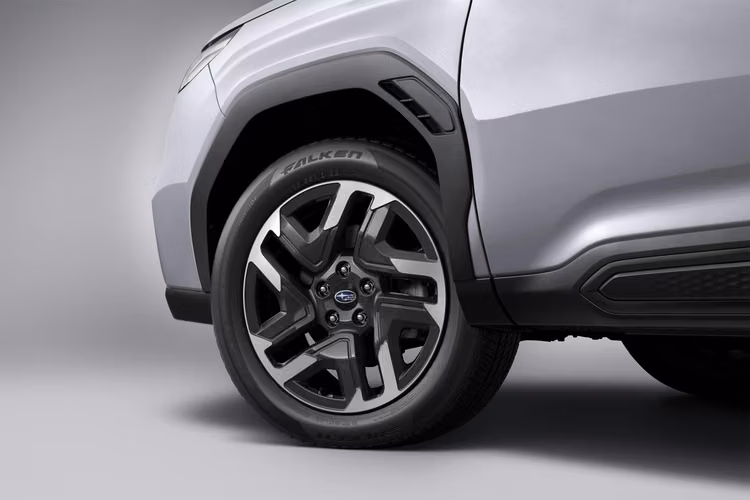 Forester Limited 2026